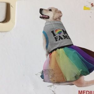 🌈 Pride Pet Costume